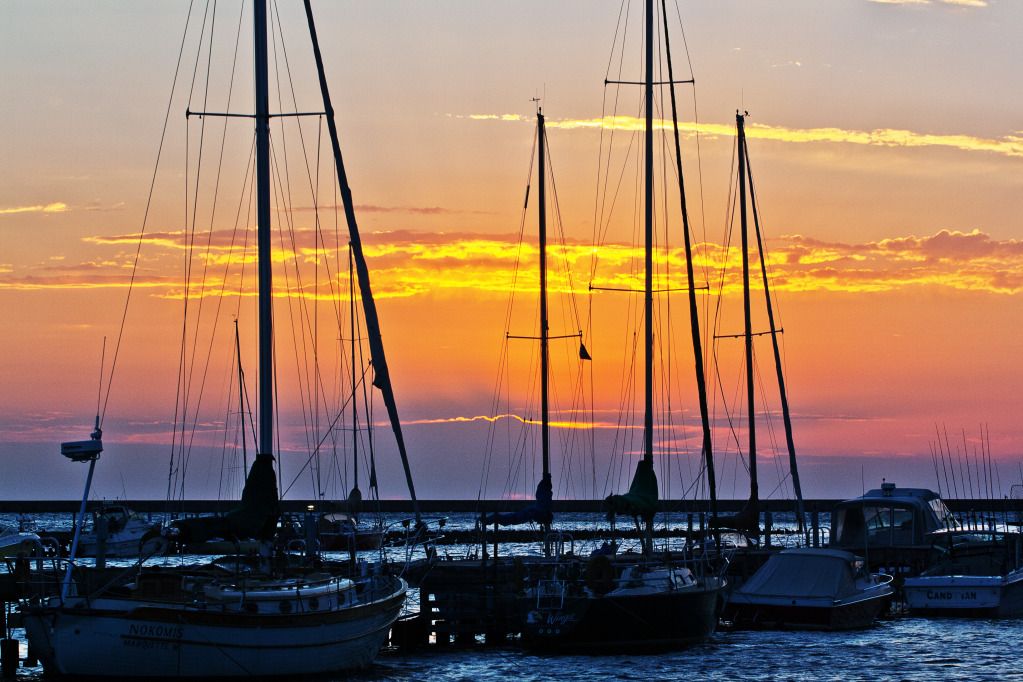 IMAGE: http://i1250.photobucket.com/albums/hh521/McMongoCanon/IMG_8228_edited-1.jpg