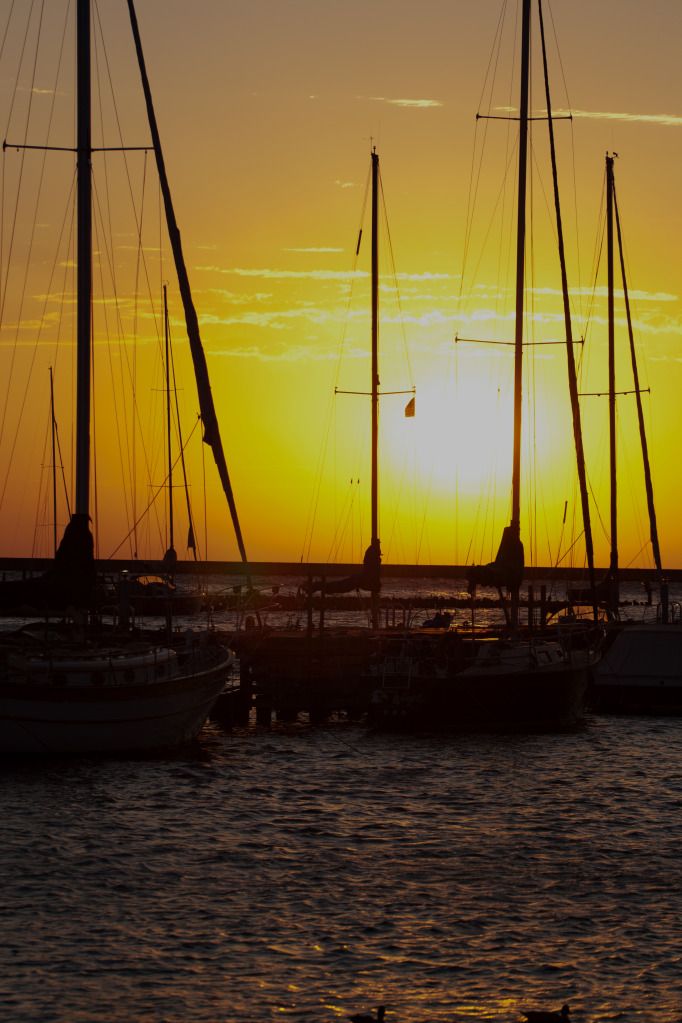 IMAGE: http://i1250.photobucket.com/albums/hh521/McMongoCanon/IMG_8308_edited-2.jpg