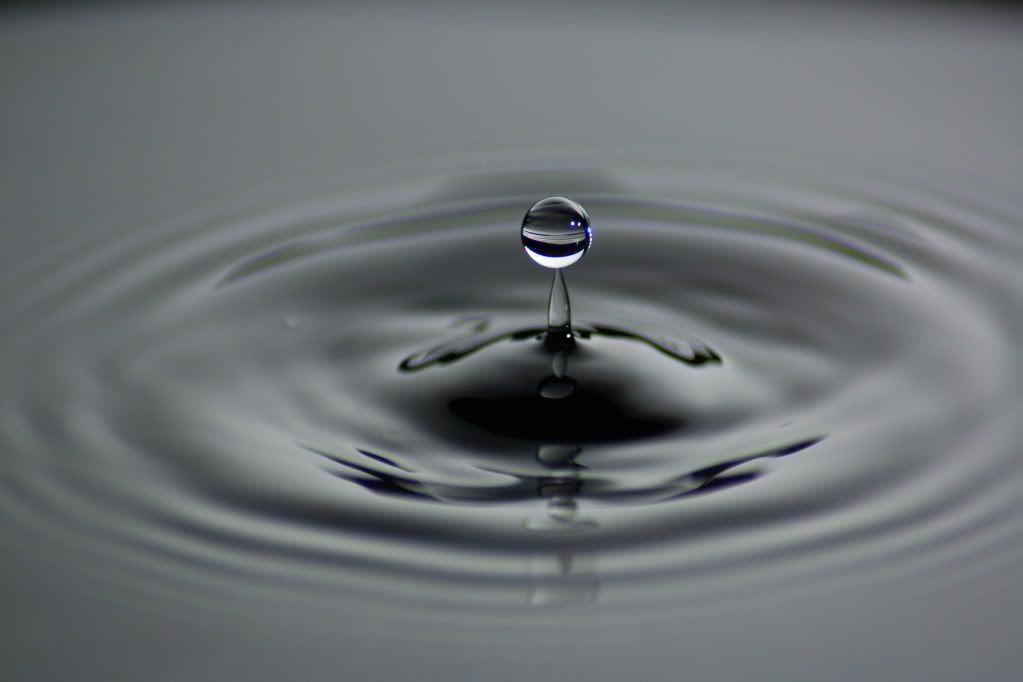 IMAGE: http://i1250.photobucket.com/albums/hh521/McMongoCanon/WaterDrops3014_edited-1.jpg