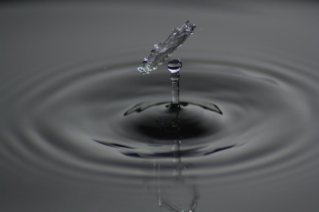IMAGE: http://i1250.photobucket.com/albums/hh521/McMongoCanon/WaterDrops3093_edited-1.jpg