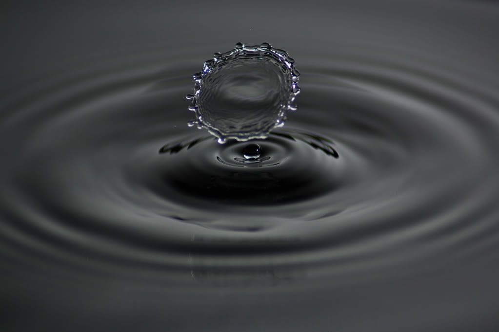 IMAGE: http://i1250.photobucket.com/albums/hh521/McMongoCanon/WaterDrops3186_edited-1.jpg