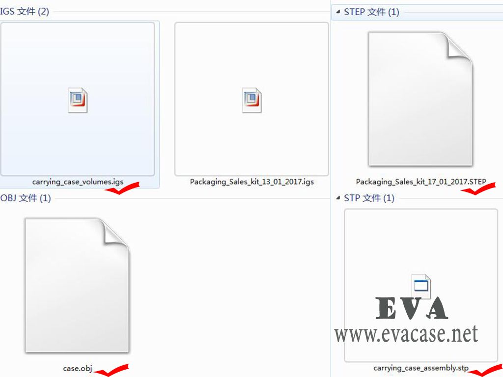 The common 3D file type for EVA Case design and explore