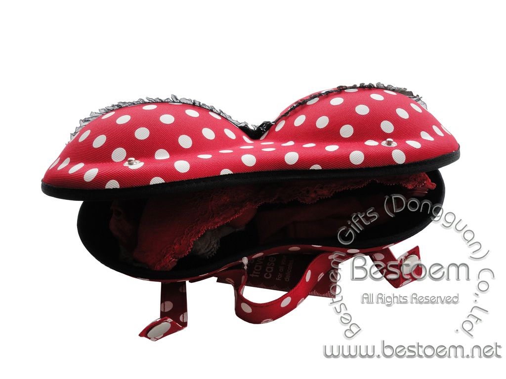 Target Branded bra travel case free sample