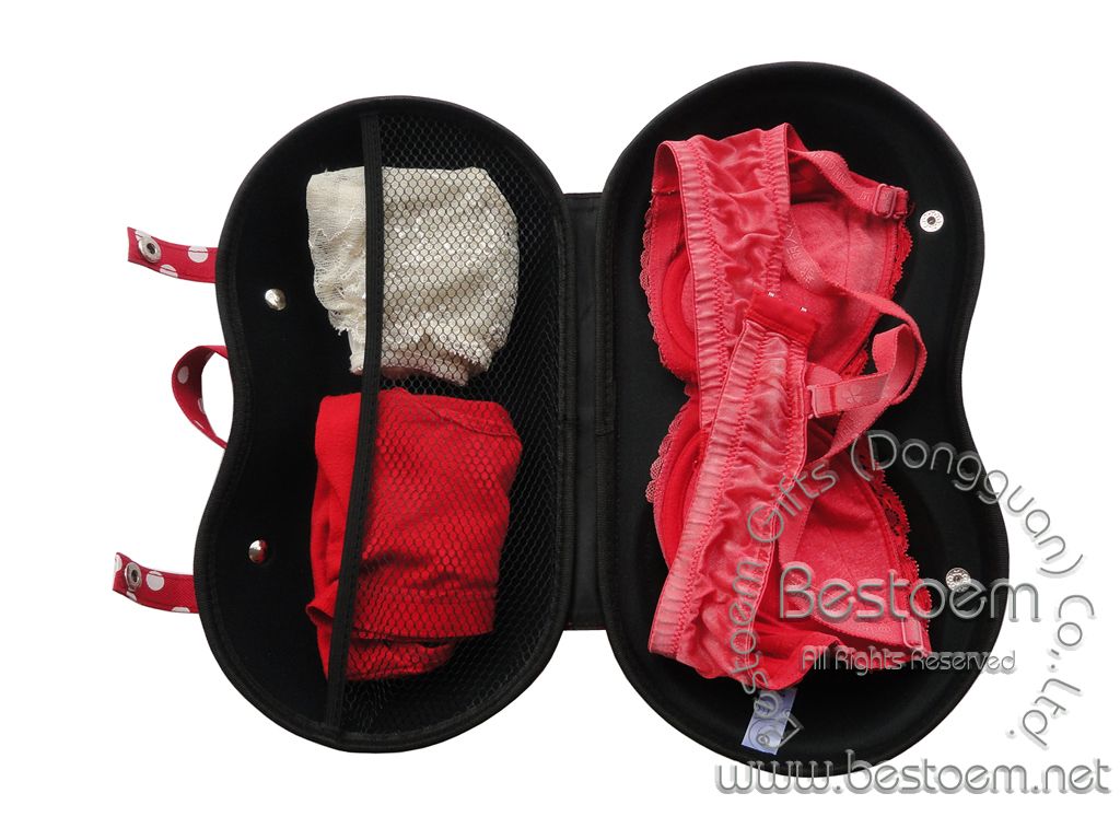 Target Branded bra travel case with mesh pocket inside