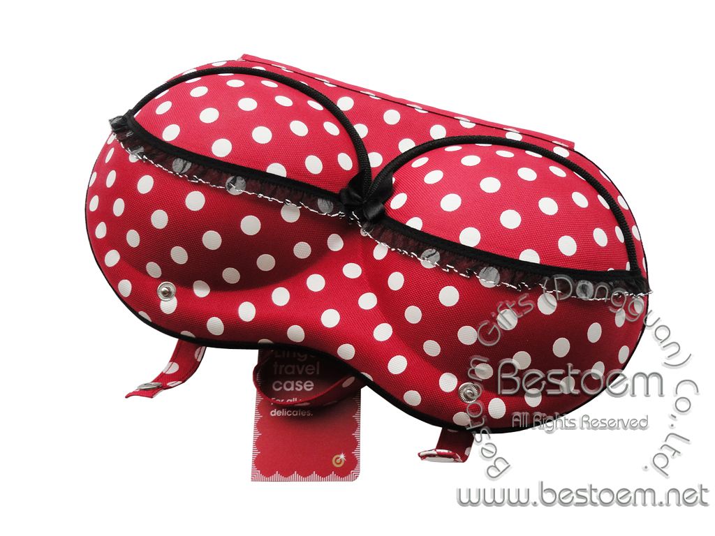 Target Branded bra travel case fast delivery