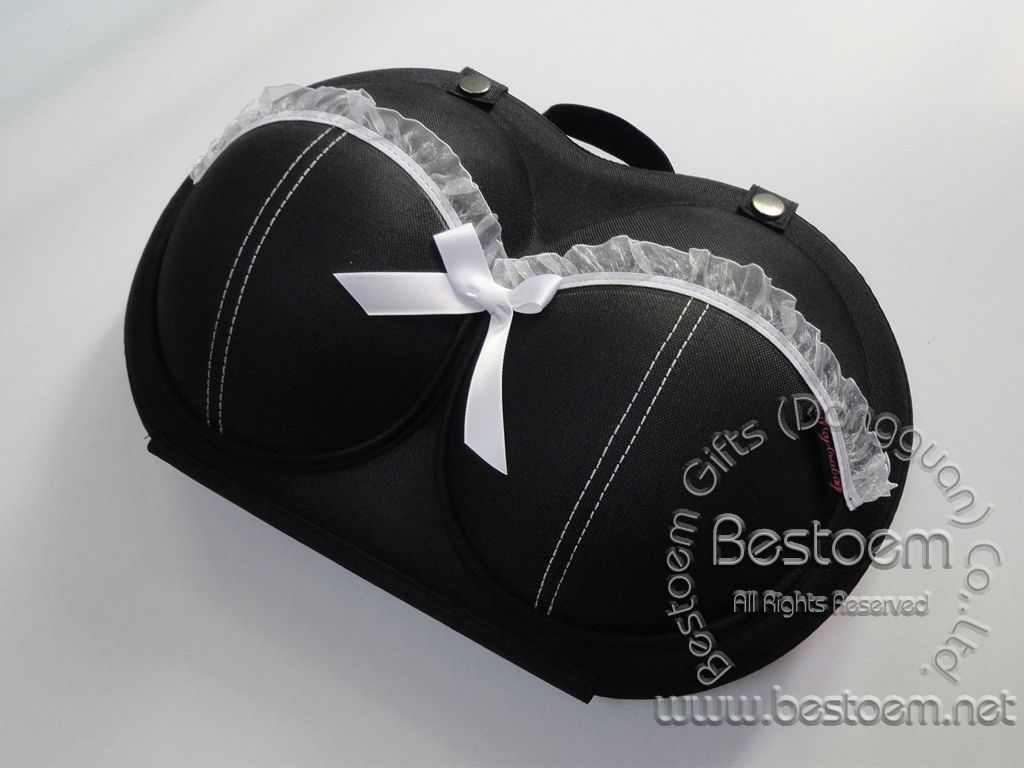 Large bra case organizer OEM