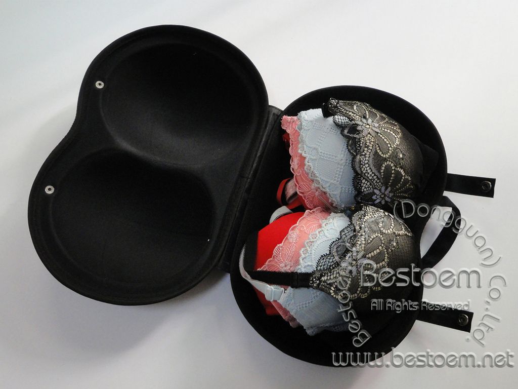 Large bra case organizer with bra inside