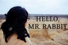 Hello, Mr. Rabbit