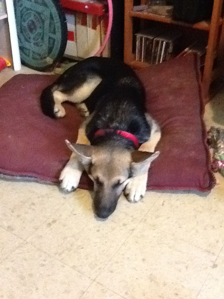 Photobucket Pictures, Images and Photos