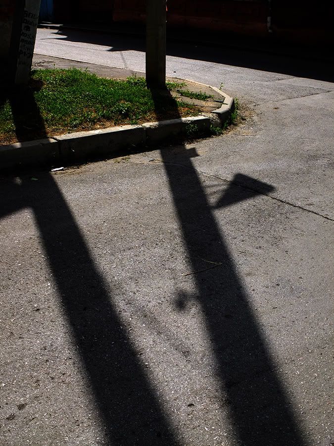 Опубликованное фото