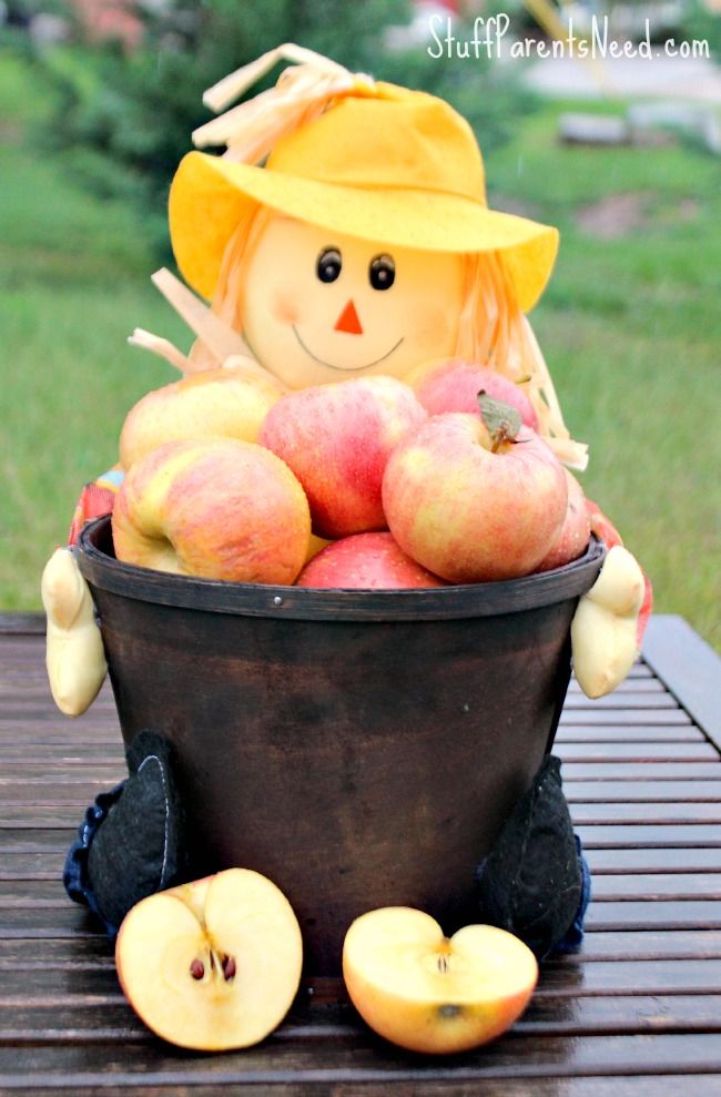  photo dairypure fall decor 1_zpshht2x8lc.jpg