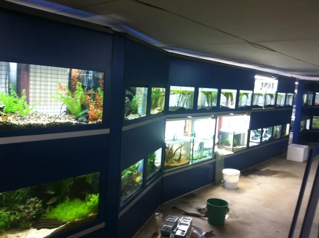 Aquarium displays at the Caboolture Show