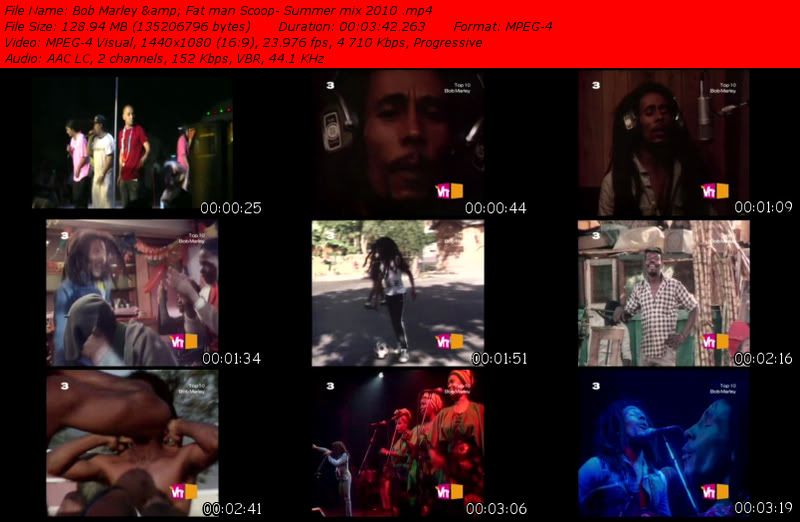 BobMarleyampFatmanScoop-Summermix2010mp4-.jpg