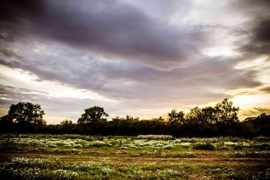 IMAGE: http://i1250.photobucket.com/albums/hh529/Utopia85/sunsetUKfield.jpg