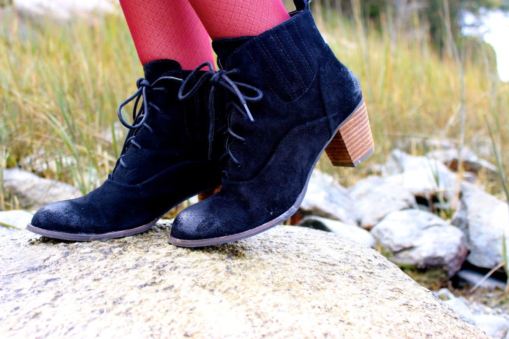 boots, lace up, booties, dolce vita,