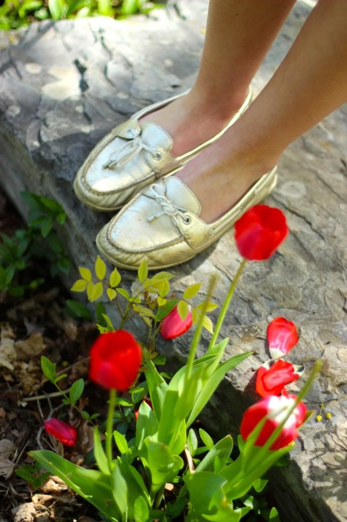 metallic, boat shoe, sperry's