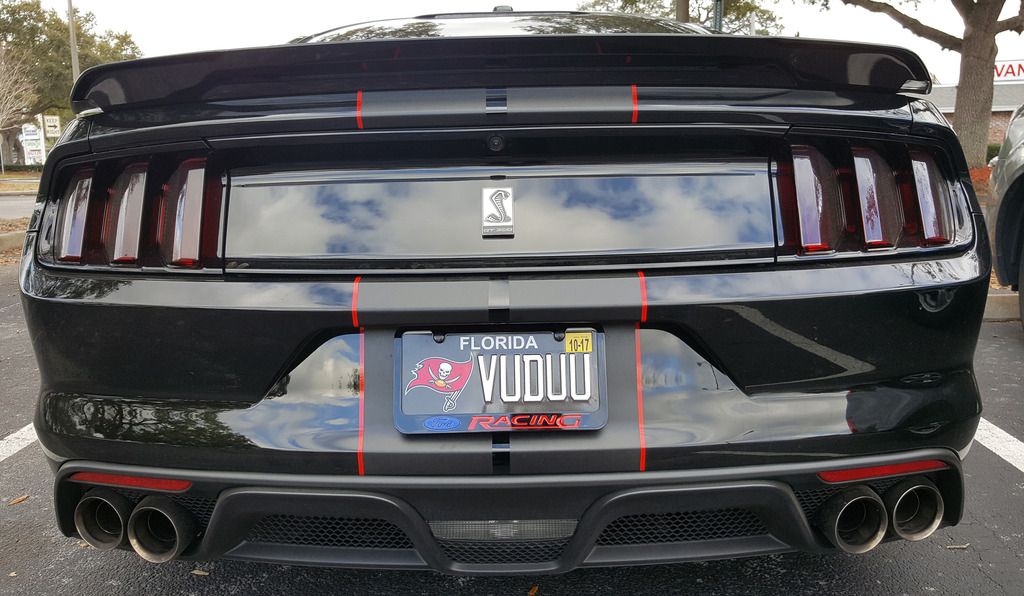 ANY new licence plate ideas for the GT350 Page 44 2015+ S550