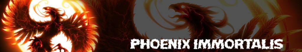 Phoenixbanner13.jpg