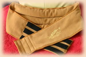 waist training is it safe