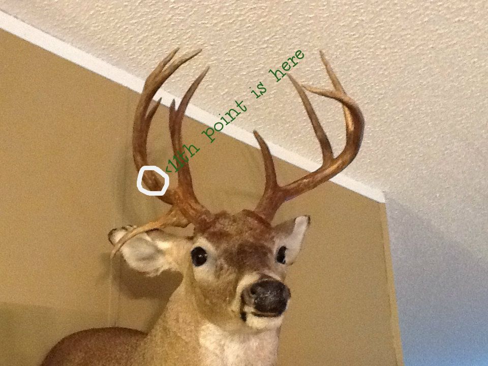 Posted Image