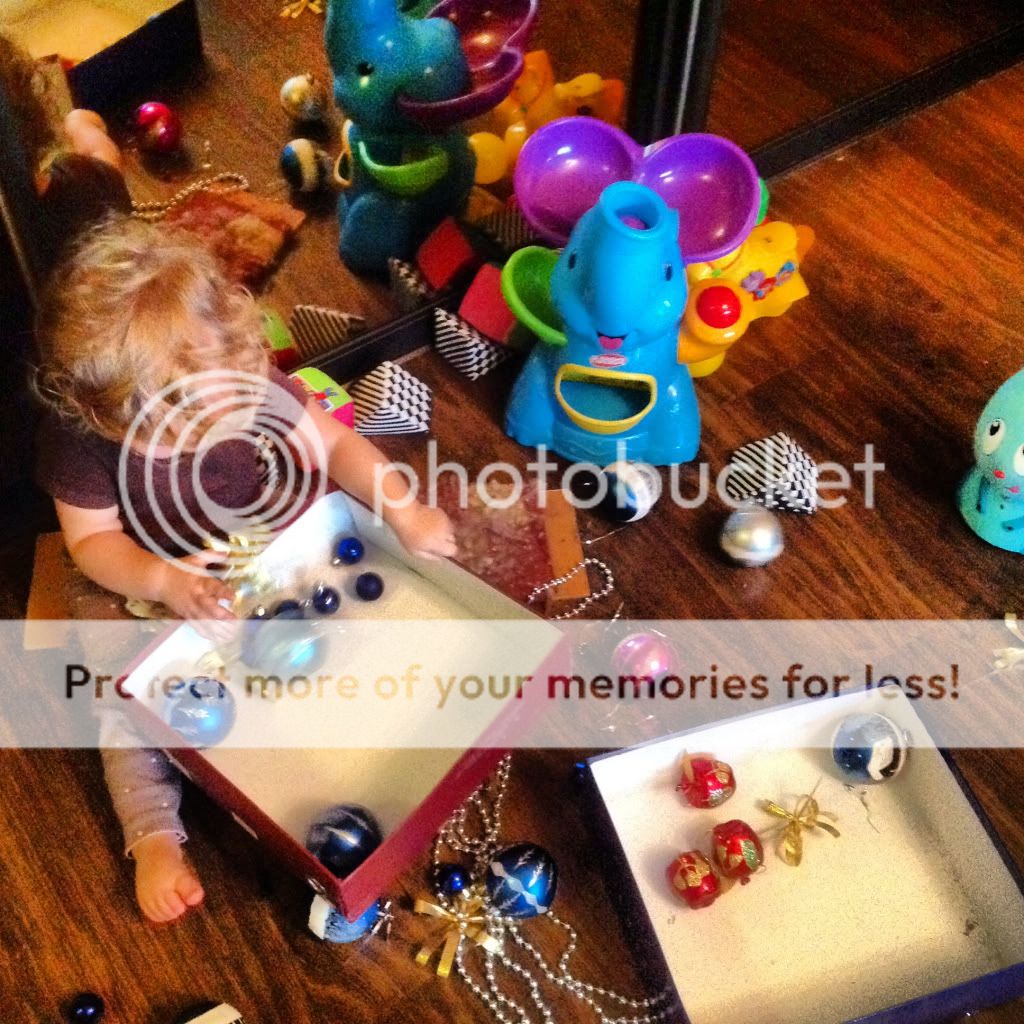 Photobucket Pictures, Images and Photos