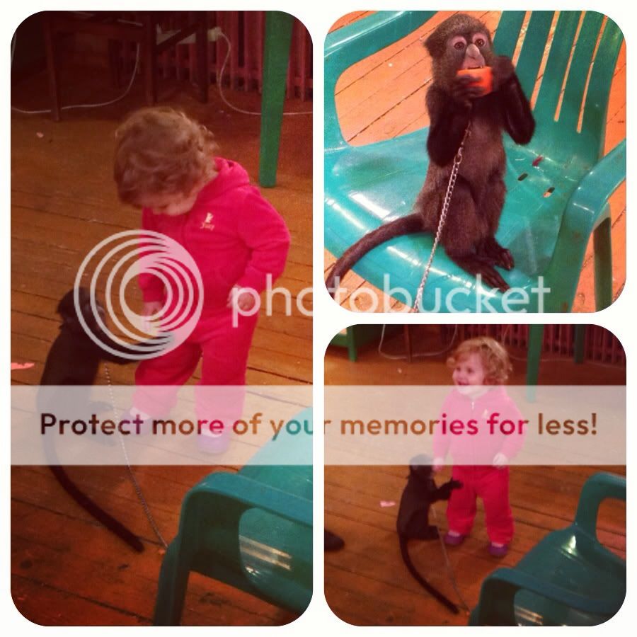 Photobucket Pictures, Images and Photos