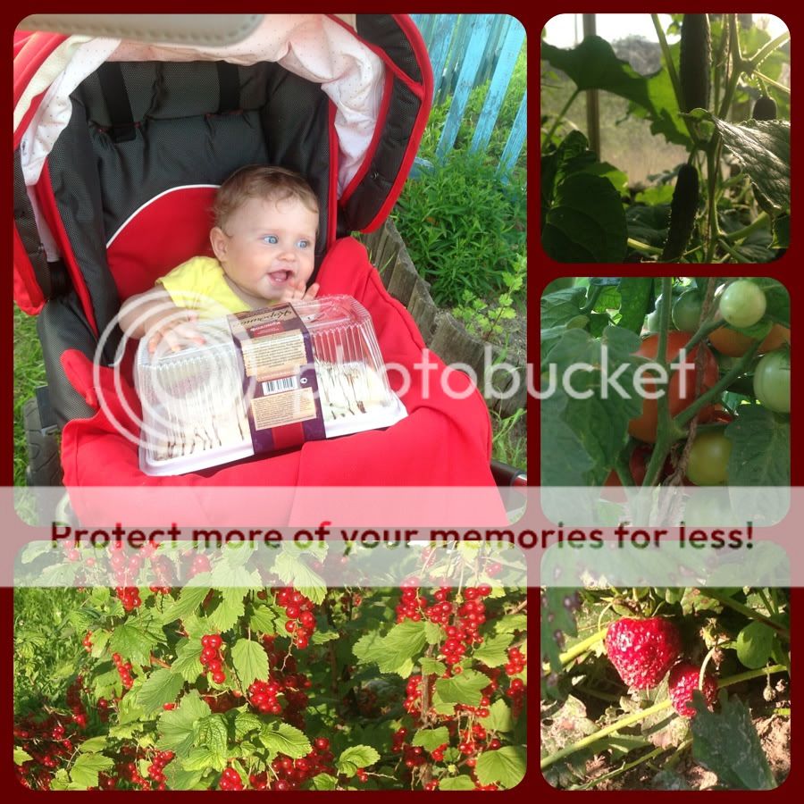 Photobucket Pictures, Images and Photos